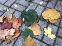 Barevný podzim
