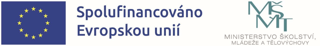 Logo projekt MŠMT